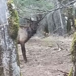 Meet your Posher, Troy